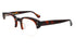 NSL3 col.Dark Tortoiseshell